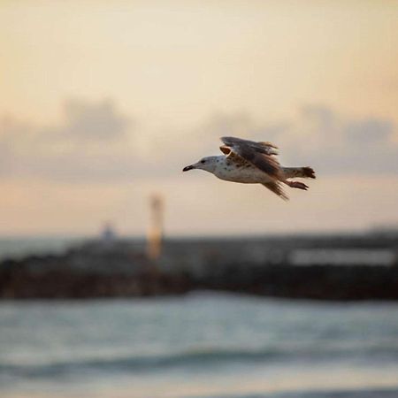 Ibis Budget Ciboure St-Jean-Luz Exteriér fotografie